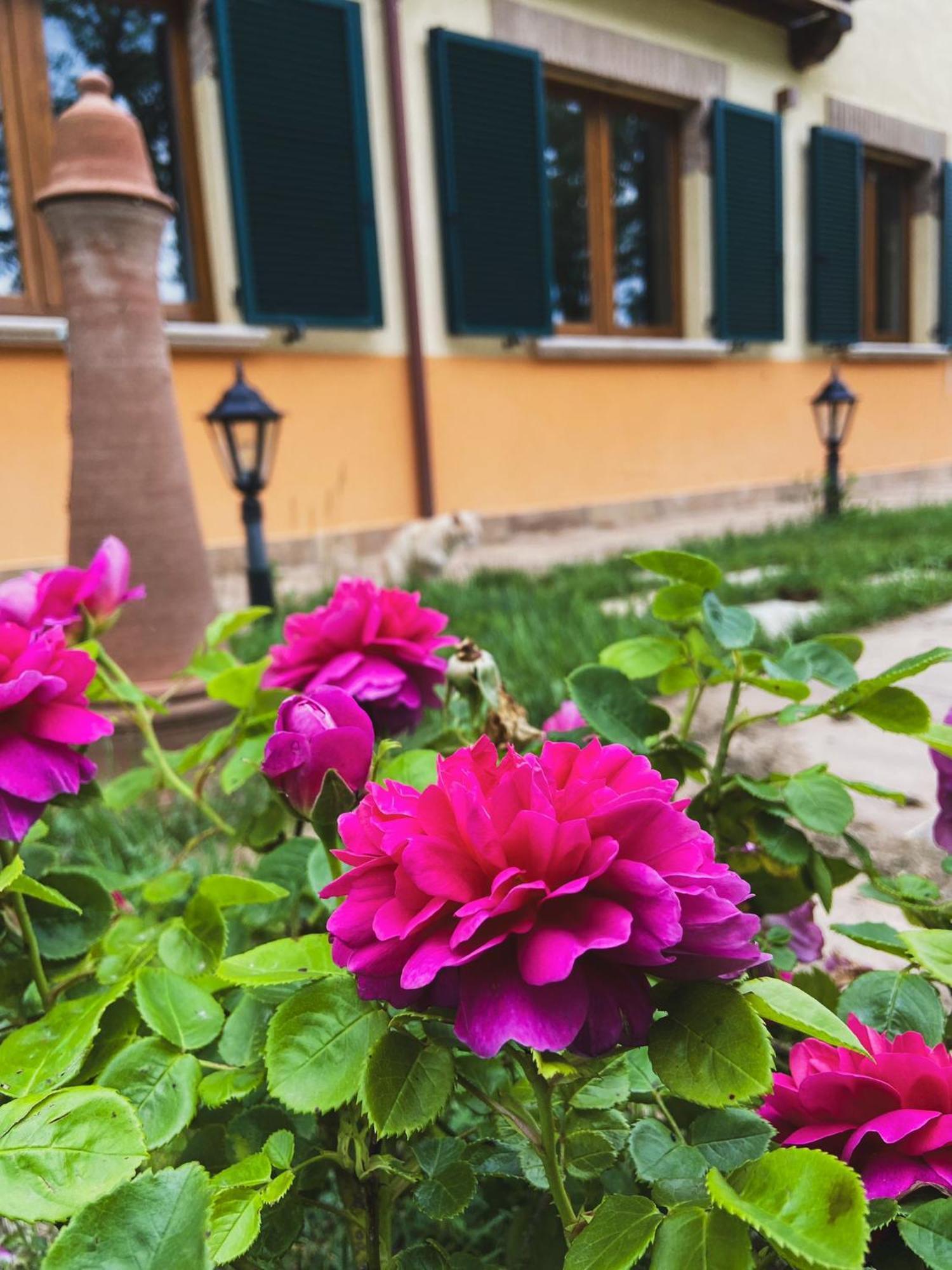 Villa Tadina Gualdo Tadino Buitenkant foto